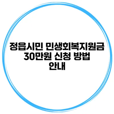 정읍시민 민생회복지원금 30만원 신청 방법 안내