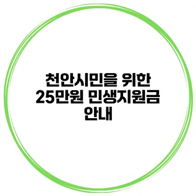천안시민을 위한 25만원 민생지원금 안내