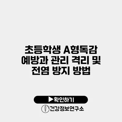 초등학생 A형독감 예방과 관리 격리 및 전염 방지 방법