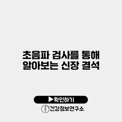 초음파 검사를 통해 알아보는 신장 결석