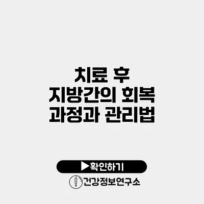 치료 후 지방간의 회복 과정과 관리법