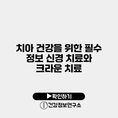 치아 건강을 위한 필수 정보 신경 치료와 크라운 치료