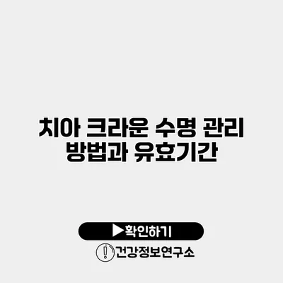치아 크라운 수명 관리 방법과 유효기간