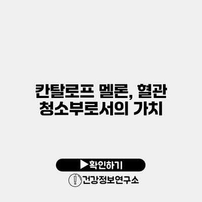 칸탈로프 멜론, 혈관 청소부로서의 가치