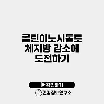 콜린이노시톨로 체지방 감소에 도전하기