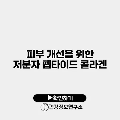 피부 개선을 위한 저분자 펩타이드 콜라겐