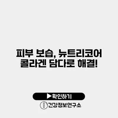 피부 보습, 뉴트리코어 콜라겐 담다로 해결!