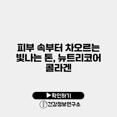 피부 속부터 차오르는 빛나는 톤, 뉴트리코어 콜라겐