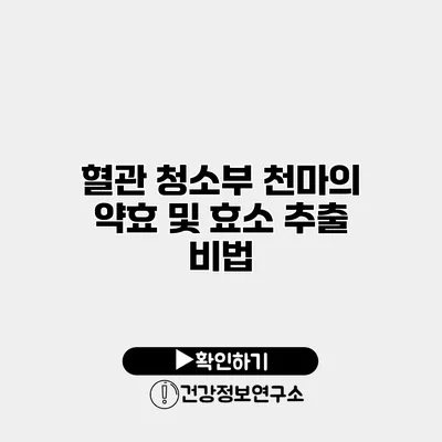 혈관 청소부 천마의 약효 및 효소 추출 비법