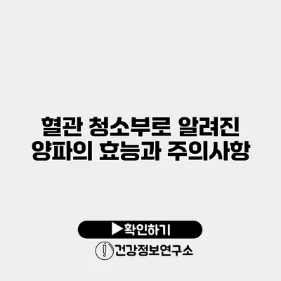 혈관 청소부로 알려진 양파의 효능과 주의사항