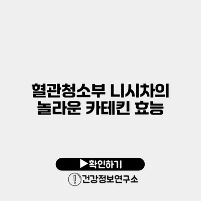 혈관청소부 니시차의 놀라운 카테킨 효능