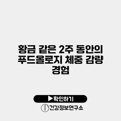 황금 같은 2주 동안의 푸드올로지 체중 감량 경험