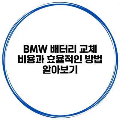 BMW 배터리 교체 비용과 효율적인 방법 알아보기