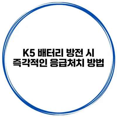 K5 배터리 방전 시 즉각적인 응급처치 방법