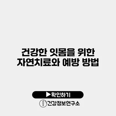 건강한 잇몸을 위한 자연치료와 예방 방법