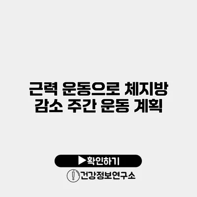 근력 운동으로 체지방 감소 주간 운동 계획
