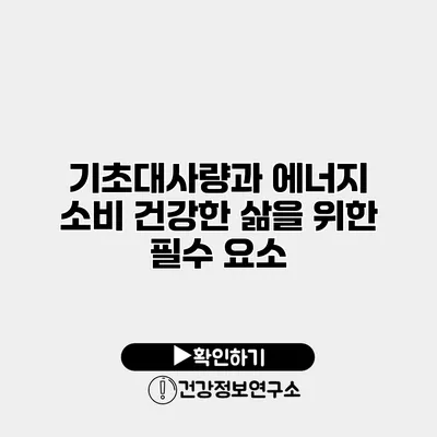 기초대사량과 에너지 소비 건강한 삶을 위한 필수 요소