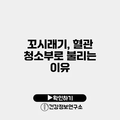 꼬시래기, 혈관 청소부로 불리는 이유
