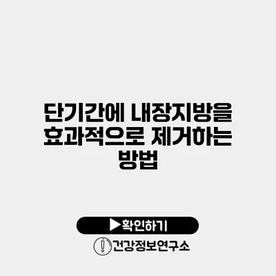 단기간에 내장지방을 효과적으로 제거하는 방법