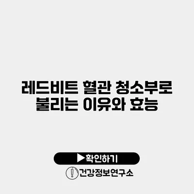 레드비트 혈관 청소부로 불리는 이유와 효능