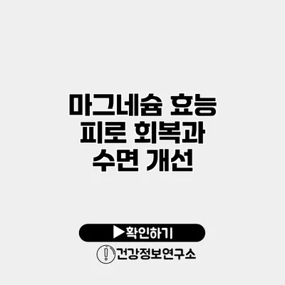 마그네슘 효능 피로 회복과 수면 개선