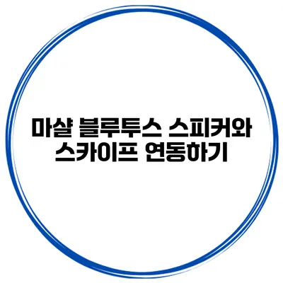 마샬 블루투스 스피커와 스카이프 연동하기