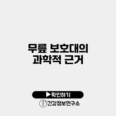 무릎 보호대의 과학적 근거