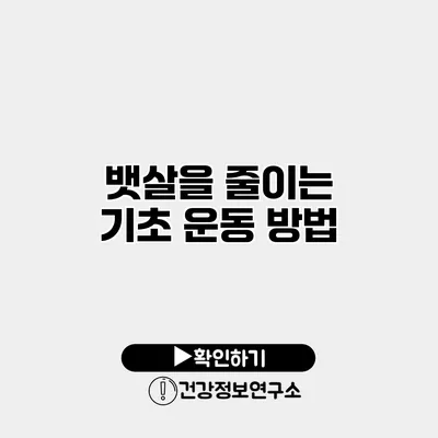 뱃살을 줄이는 기초 운동 방법