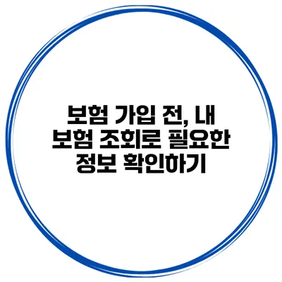 보험 가입 전, 내 보험 조회로 필요한 정보 확인하기