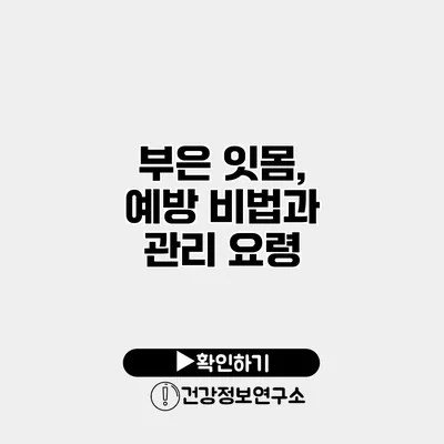 부은 잇몸, 예방 비법과 관리 요령