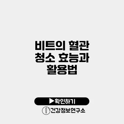 비트의 혈관 청소 효능과 활용법