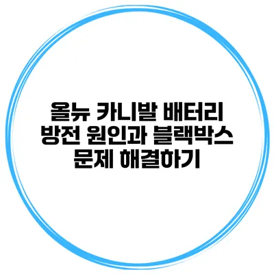 올뉴 카니발 배터리 방전 원인과 블랙박스 문제 해결하기