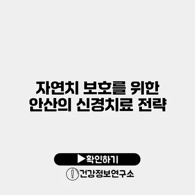 자연치 보호를 위한 안산의 신경치료 전략