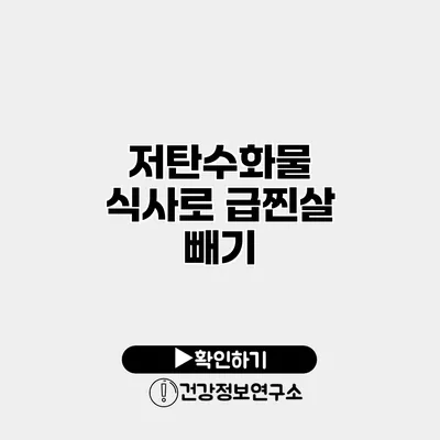 저탄수화물 식사로 급찐살 빼기