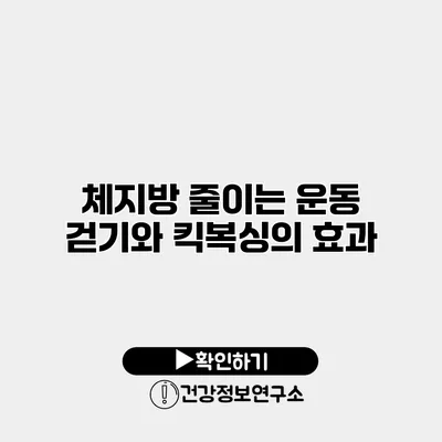 체지방 줄이는 운동 걷기와 킥복싱의 효과