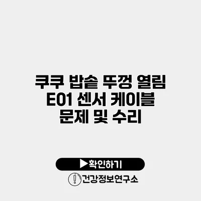 쿠쿠 밥솥 뚜껑 열림 E01 센서 케이블 문제 및 수리