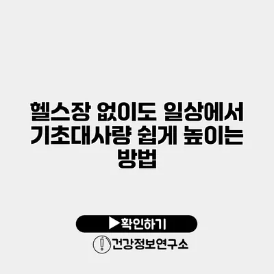 헬스장 없이도 일상에서 기초대사량 쉽게 높이는 방법
