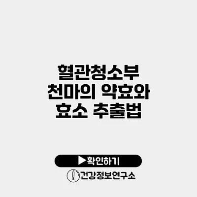 혈관청소부 천마의 약효와 효소 추출법